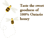 Taste the sweet goodness of 100% Ontario honey